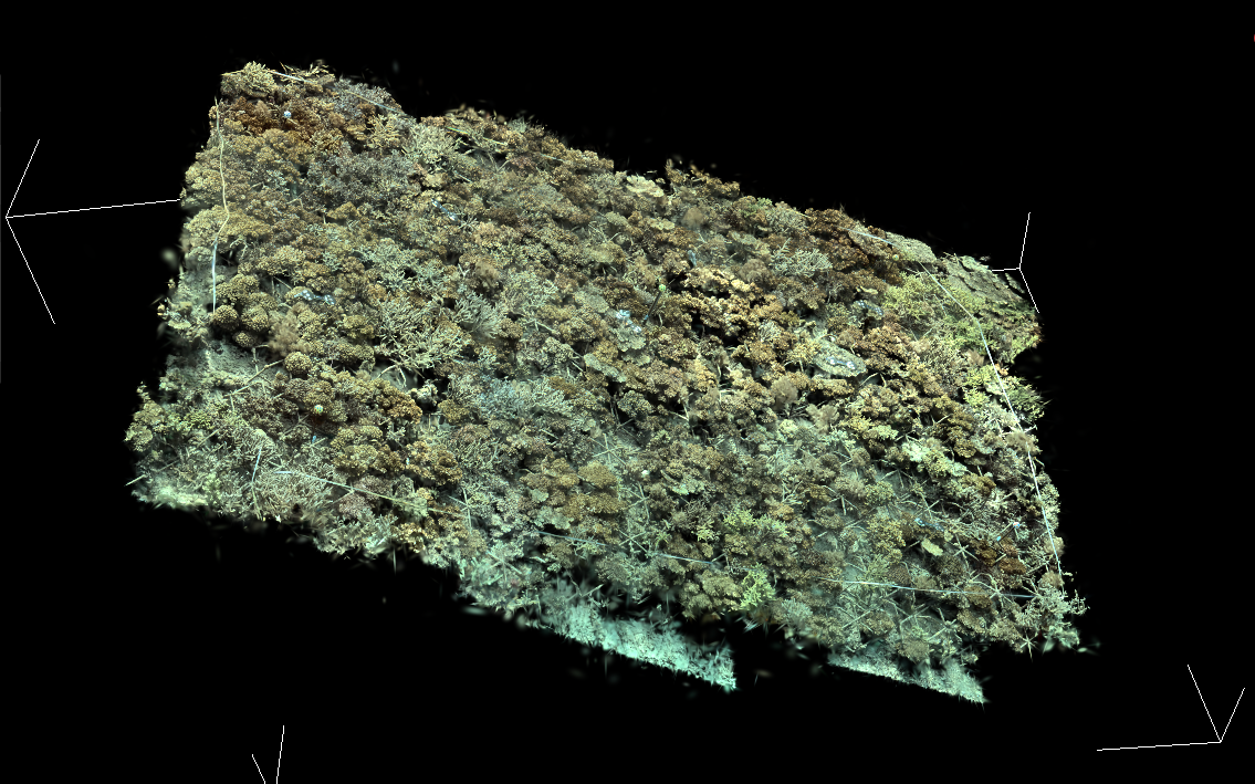 Reef Patch Demo - Interactive 3D reconstruction